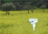 Soil Moisture Monitoring Remote Station with 2 moisture and temperature sensors Soil Moisture Monitoring Remote Station with 2 moisture and temperature sensors